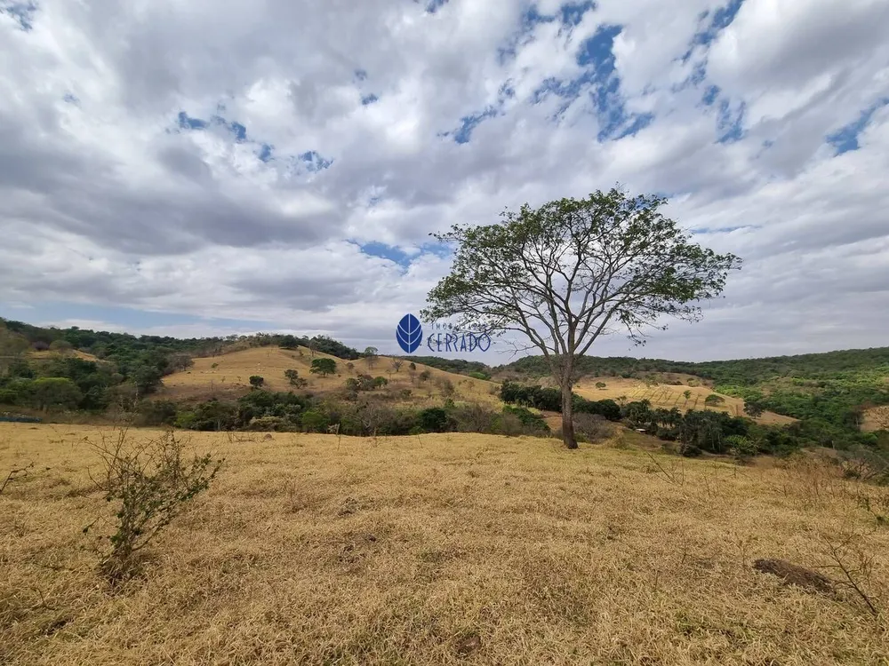Fazenda, 45 hectares - Foto 6