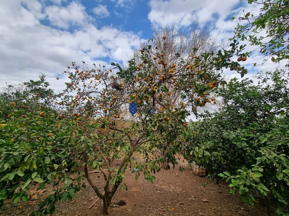 Fazenda à venda com 2 quartos, 100m² - Foto 9