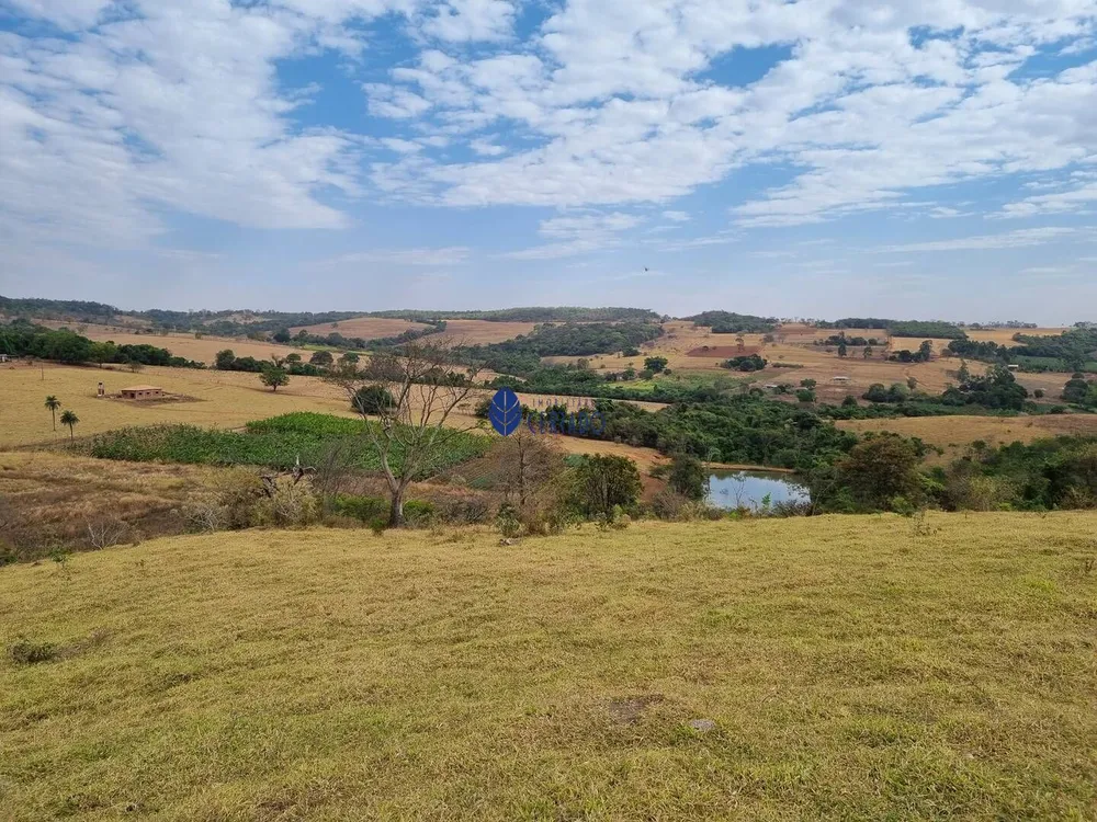 Fazenda, 45 hectares - Foto 14