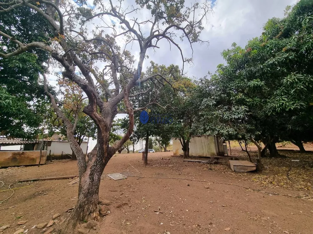 Fazenda à venda com 2 quartos, 100m² - Foto 10