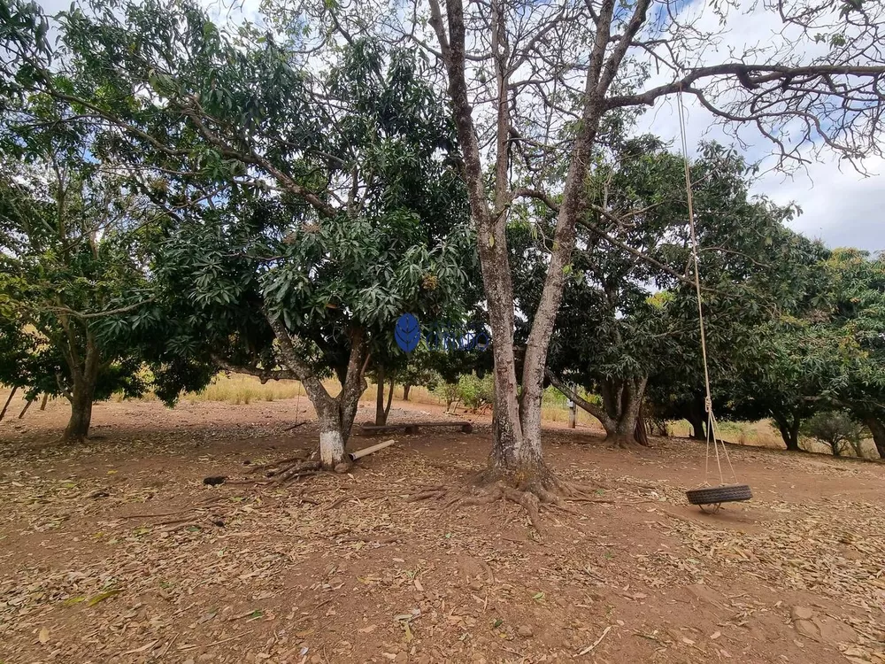 Fazenda à venda com 2 quartos, 100m² - Foto 4