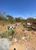 Terreno, 600 m² - Foto 5