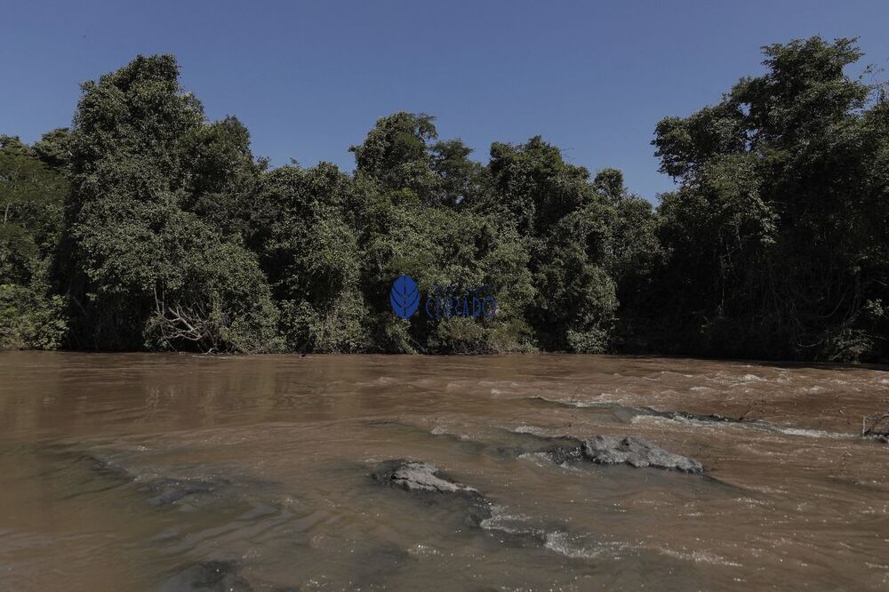 Terreno, 1351 m² - Foto 4