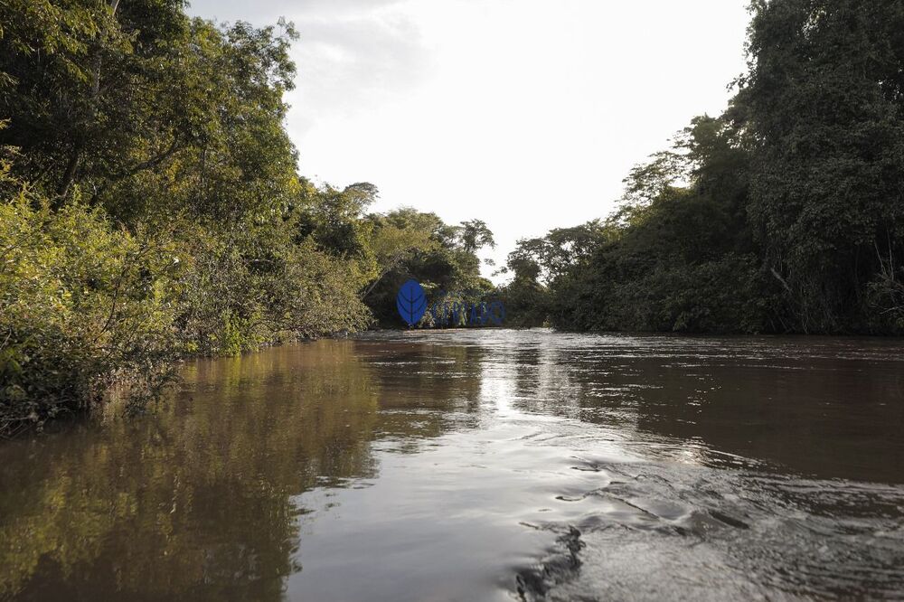 Terreno, 1351 m² - Foto 3