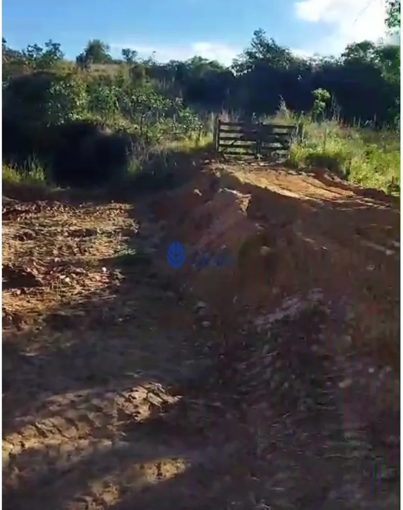 Terreno, 3 hectares - Foto 2