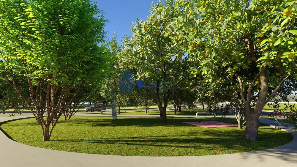 Terreno, 250 m² - Foto 5