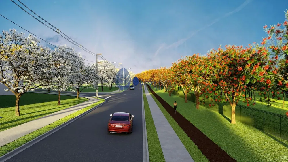 Terreno, 250 m² - Foto 12