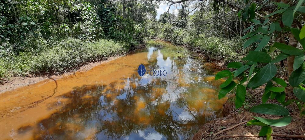 Terreno, 2 hectares - Foto 5