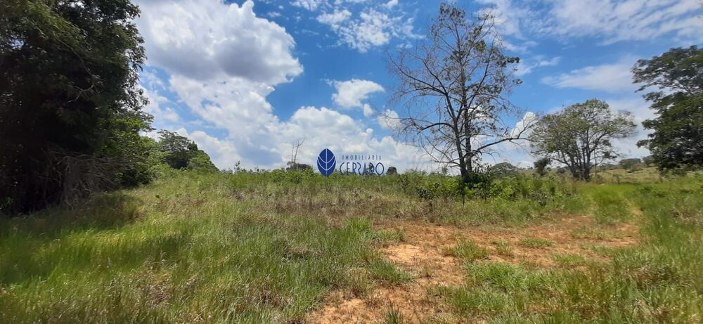 Terreno, 2 hectares - Foto 4