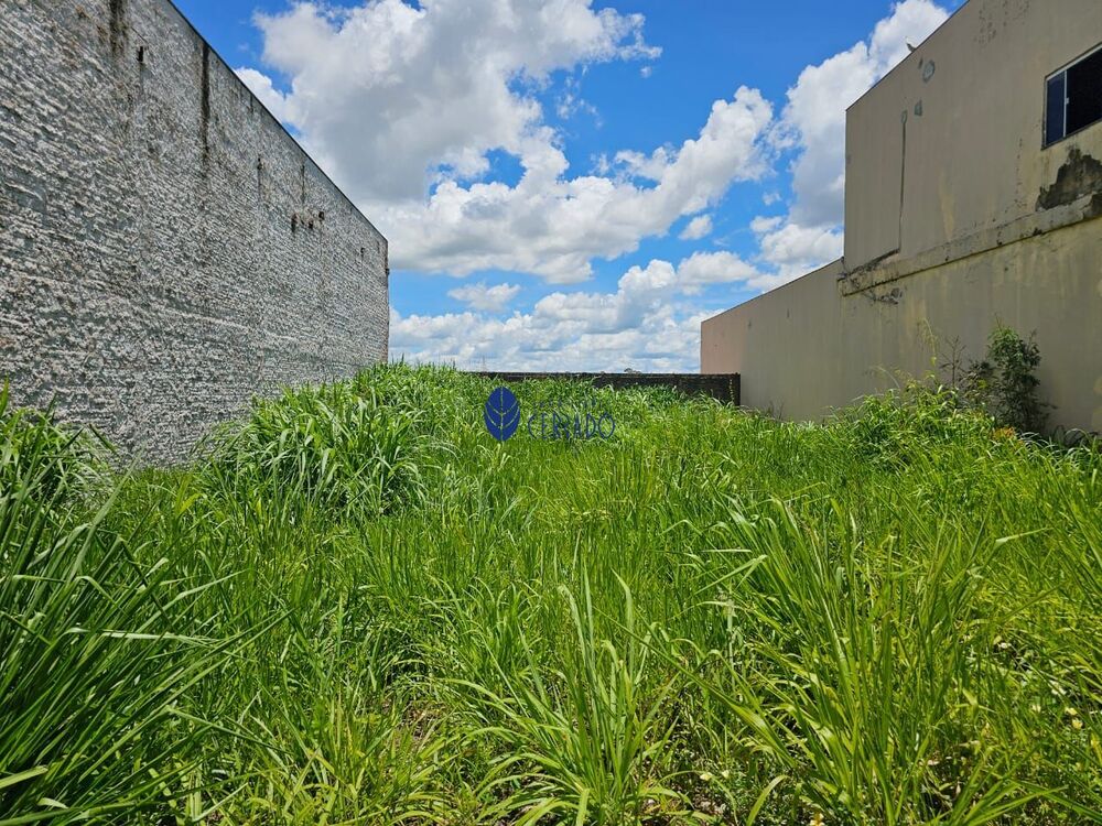 Terreno, 300 m² - Foto 4