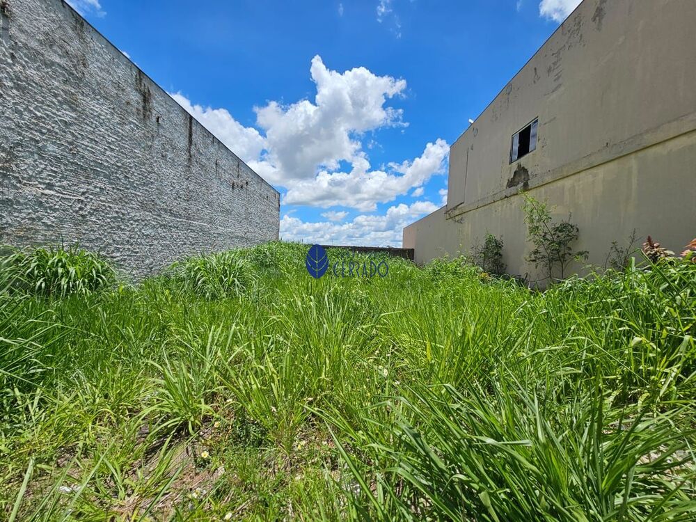 Terreno, 300 m² - Foto 3