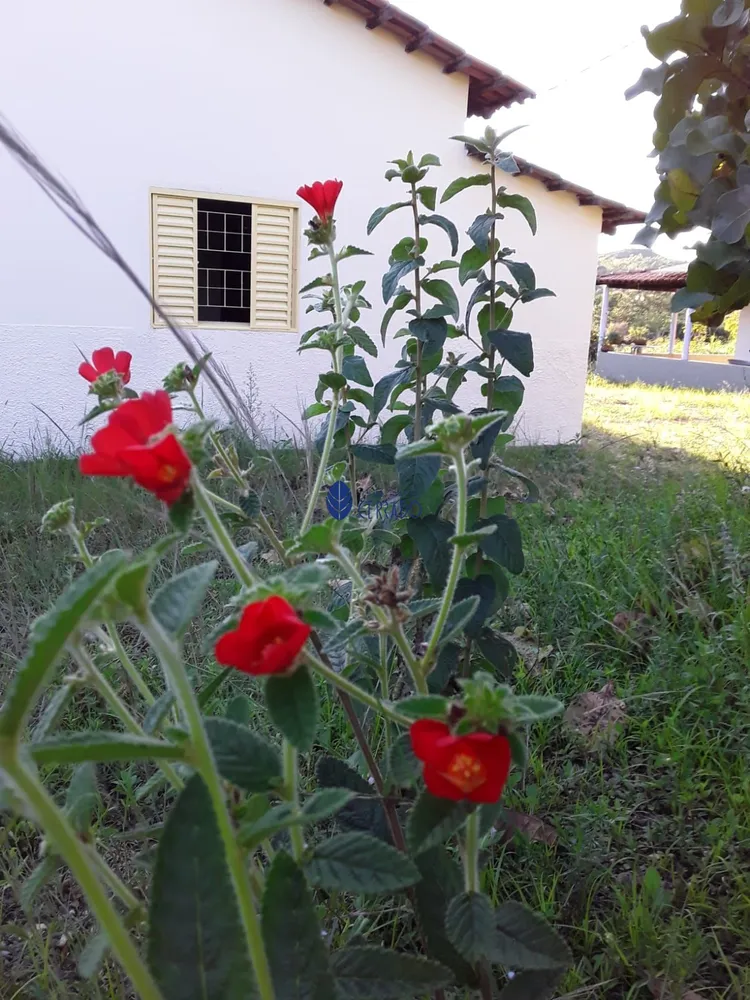 Chácara, 9 quartos, 2 hectares - Foto 15