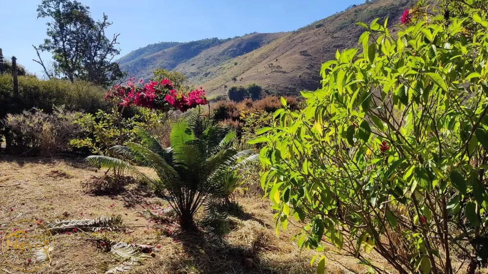 Sítio, 6 quartos, 4000 m² - Foto 32