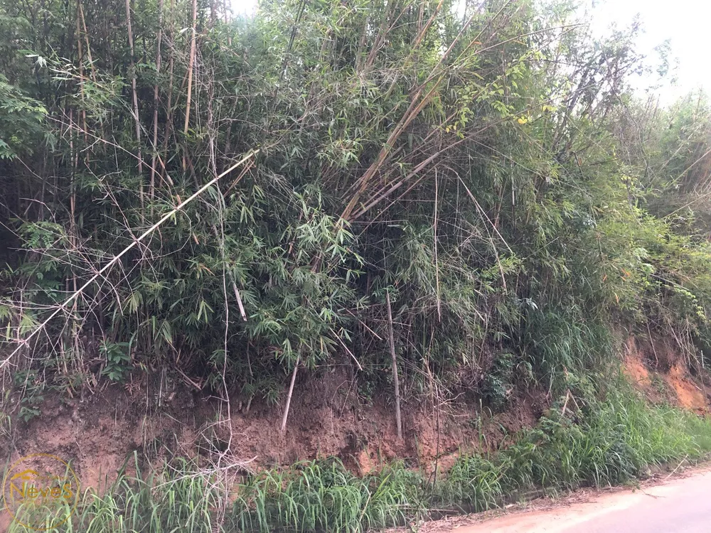 Terreno, 1600 m² - Foto 17