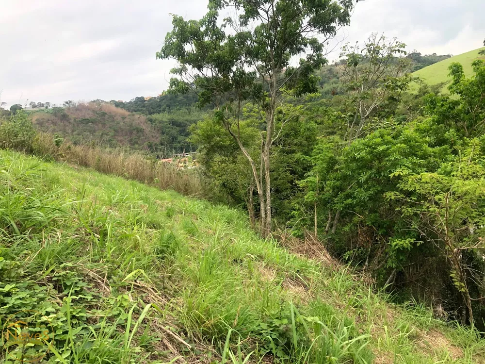 Terreno, 1600 m² - Foto 13