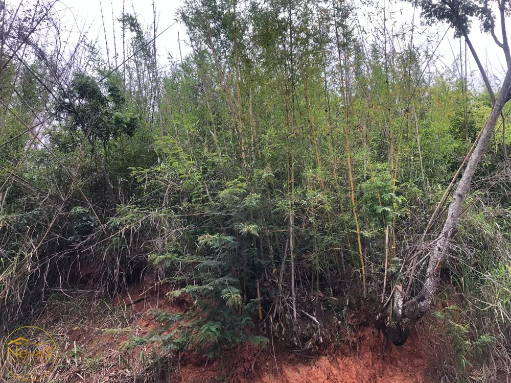 Terreno, 1600 m² - Foto 7
