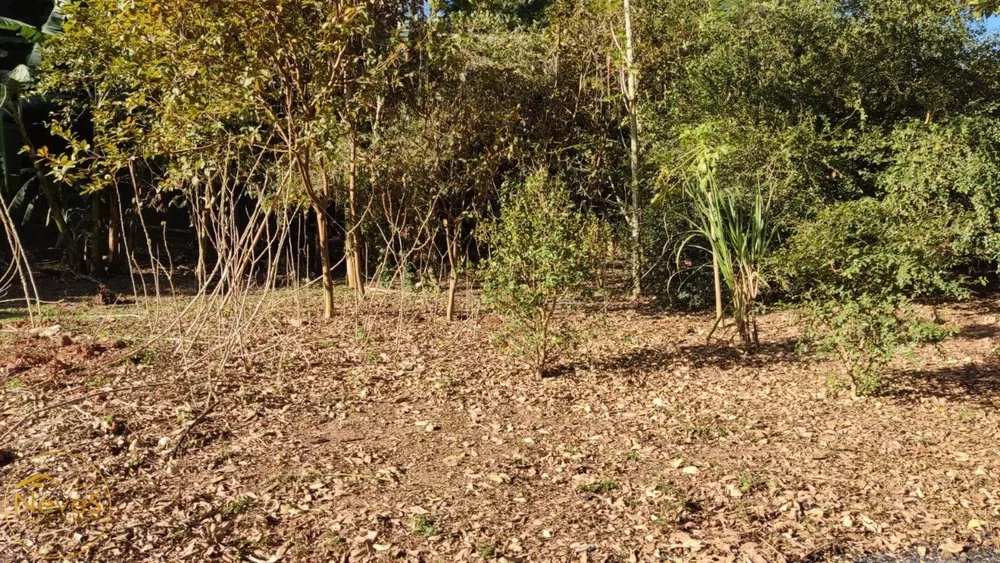 Terreno, 813 m² - Foto 7