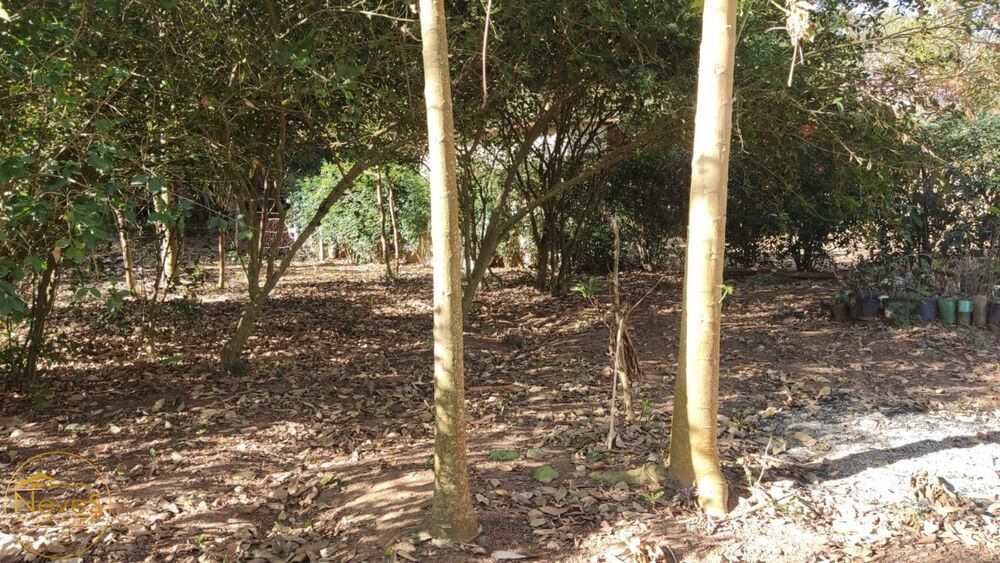 Terreno, 813 m² - Foto 6