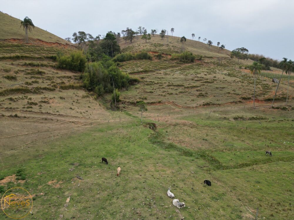 Terreno, 30 hectares - Foto 6