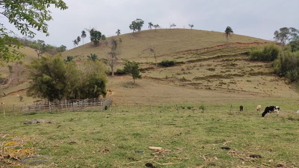 Terreno, 30 hectares - Foto 4