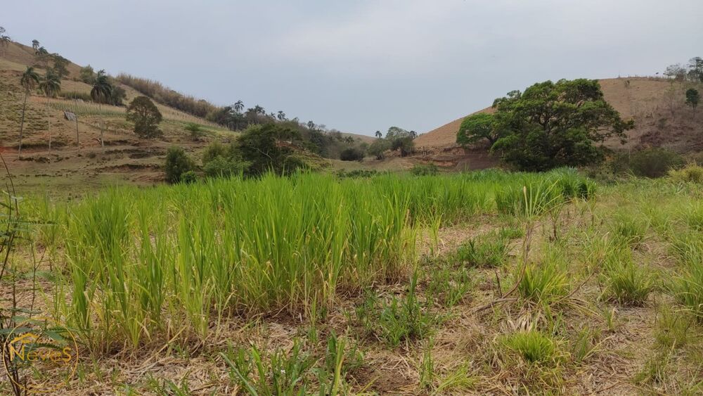 Terreno, 30 hectares - Foto 7