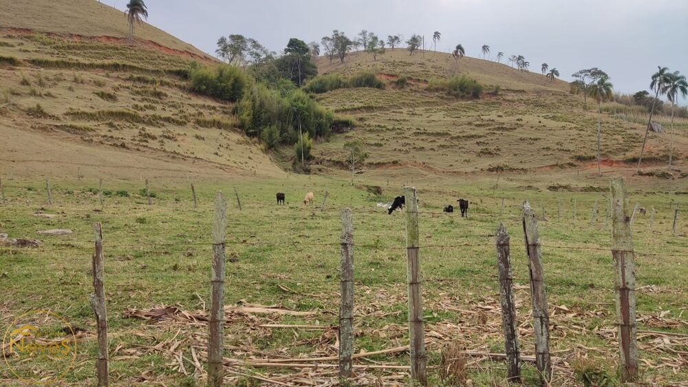 Terreno, 30 hectares - Foto 2