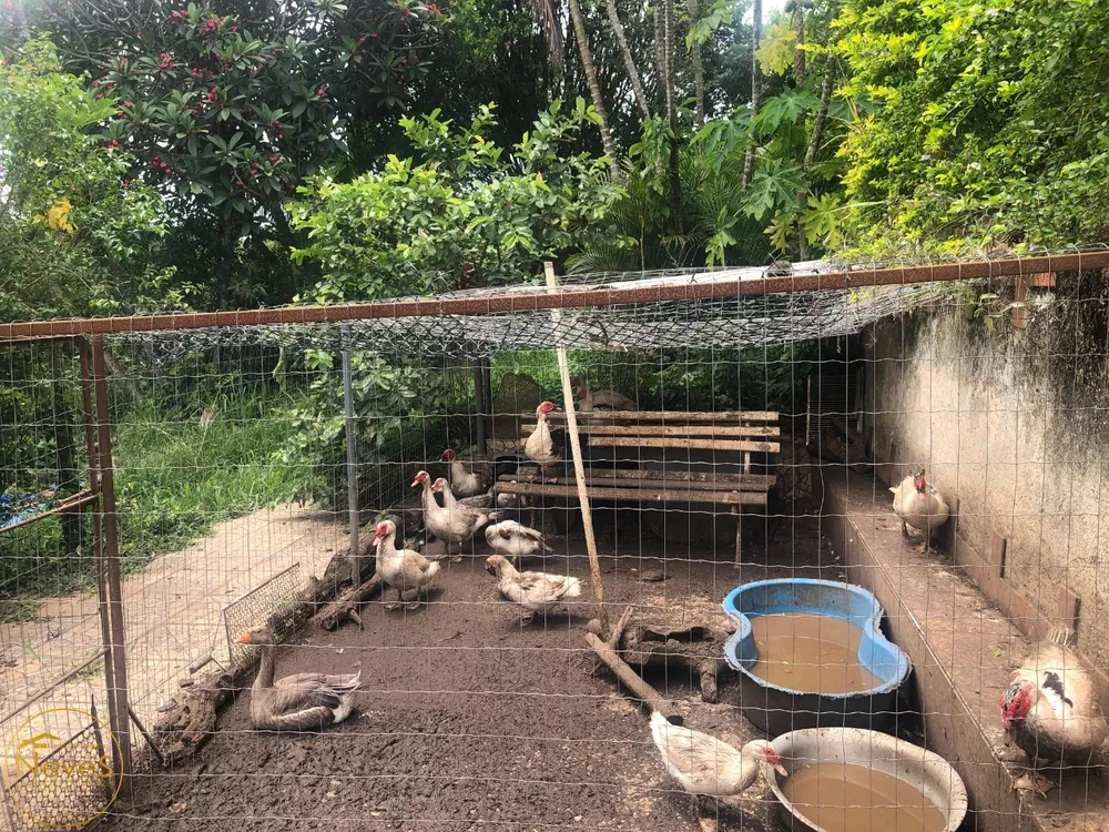 Casa, 5 quartos - Foto 25