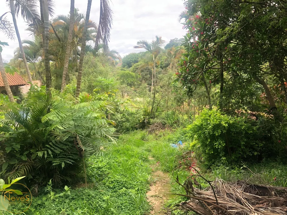 Casa, 5 quartos - Foto 32