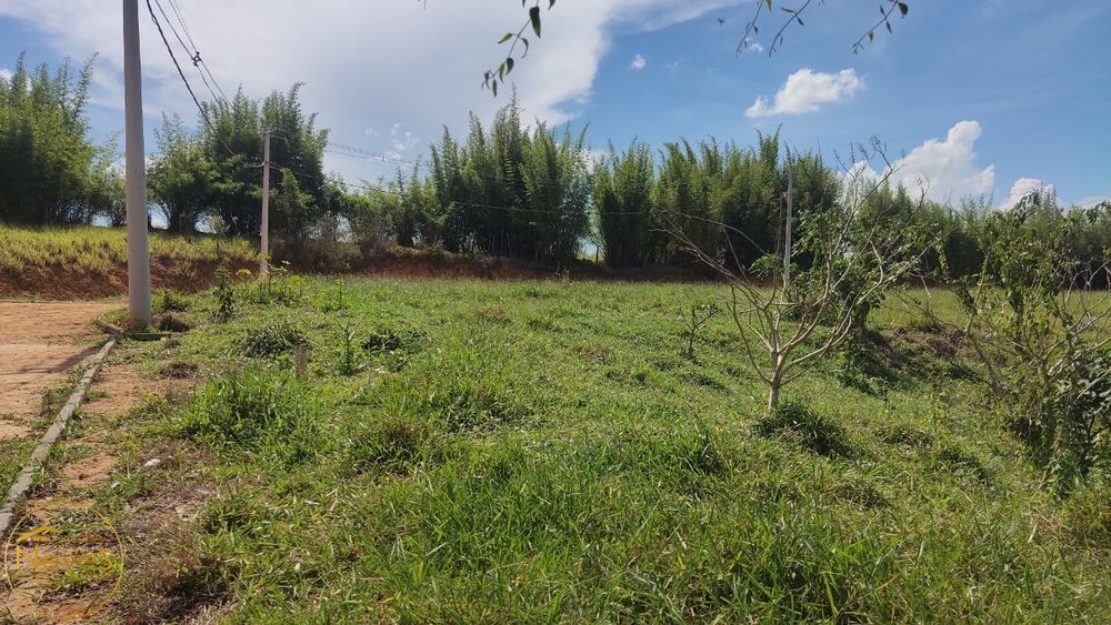 Terreno, 541 m² - Foto 7