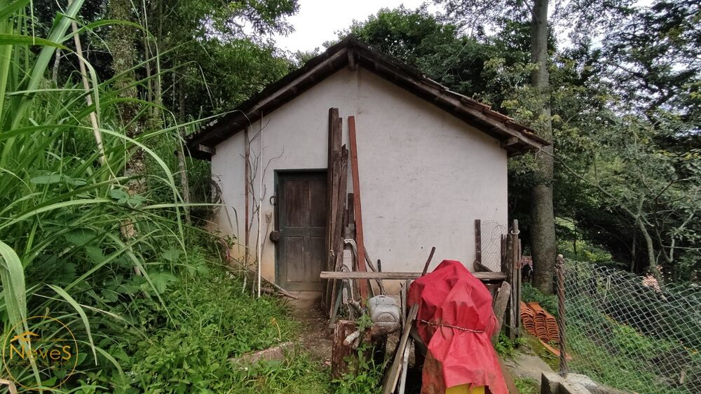 Sítio à venda com 9 quartos, 100580m² - Foto 19