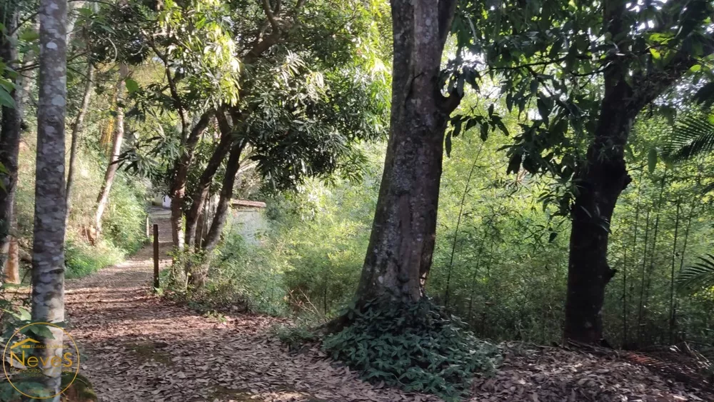 Sítio, 5 quartos, 10000 m² - Foto 26