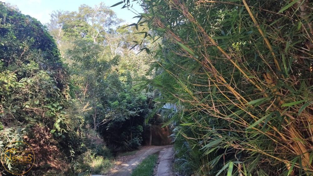 Sítio, 5 quartos, 10000 m² - Foto 25