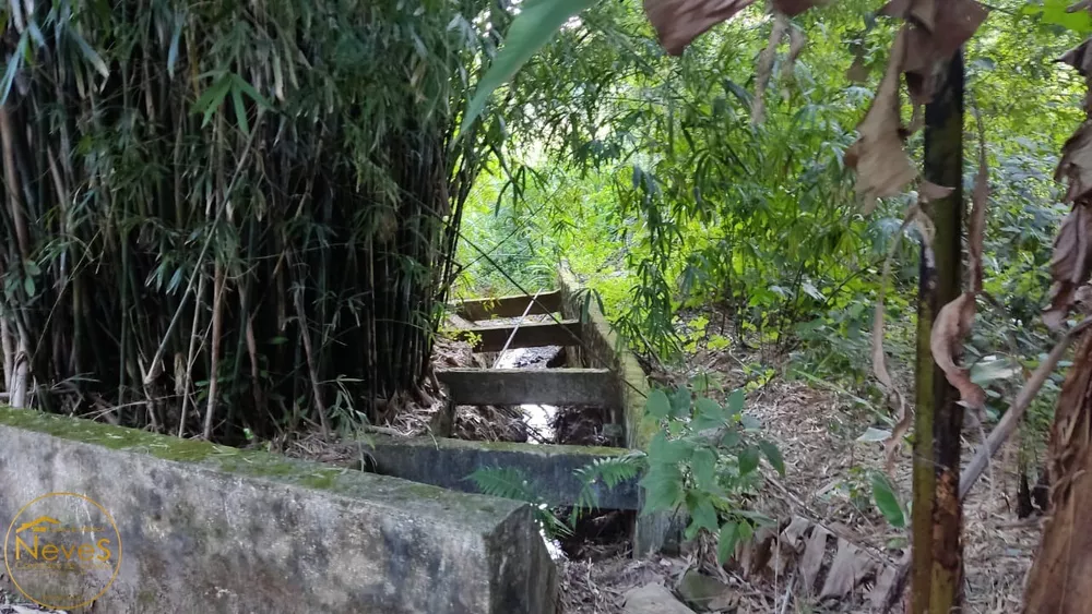 Sítio, 3 quartos, 2 hectares - Foto 35