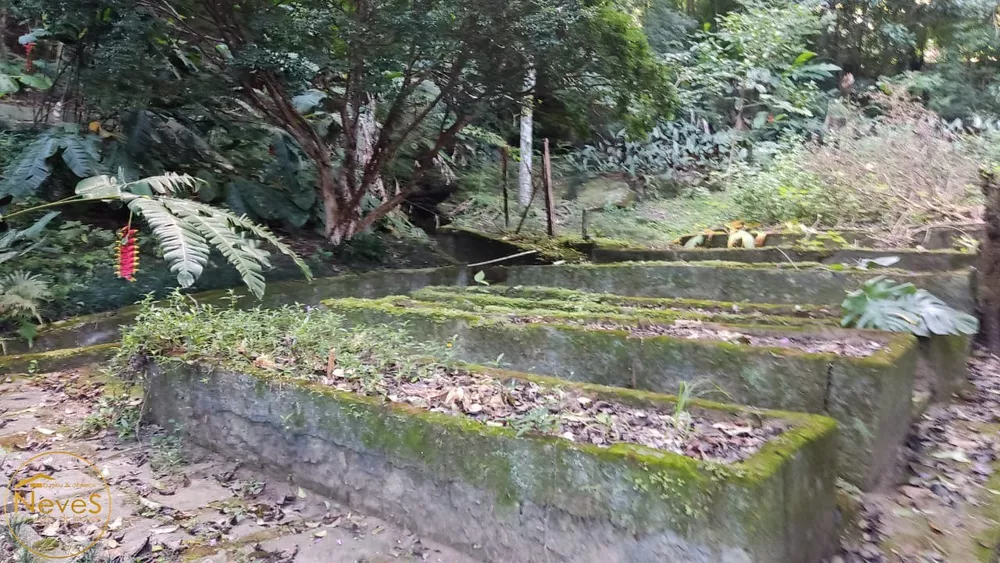 Sítio, 3 quartos, 2 hectares - Foto 32