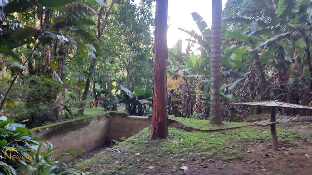 Sítio, 3 quartos, 2 hectares - Foto 38