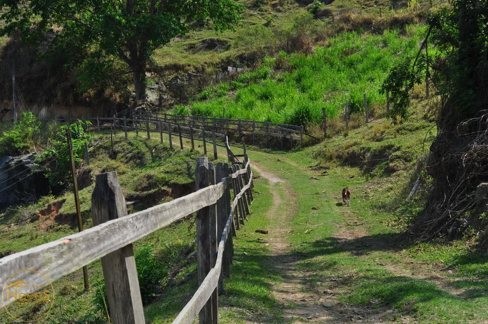 Sítio, 8 quartos, 7 hectares - Foto 3