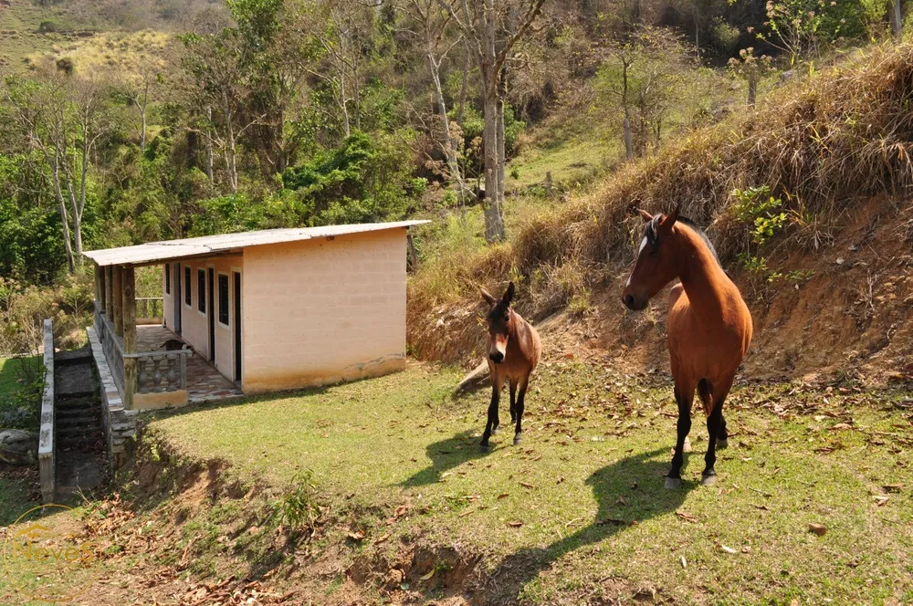 Sítio, 8 quartos, 7 hectares - Foto 35