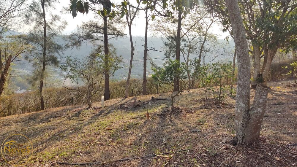 Terreno, 870 m² - Foto 6