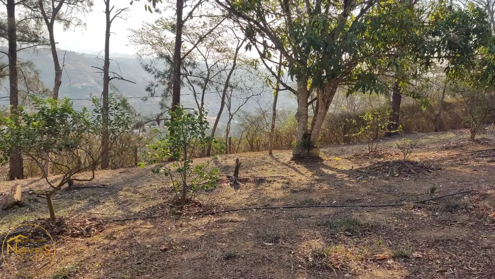 Terreno, 870 m² - Foto 7