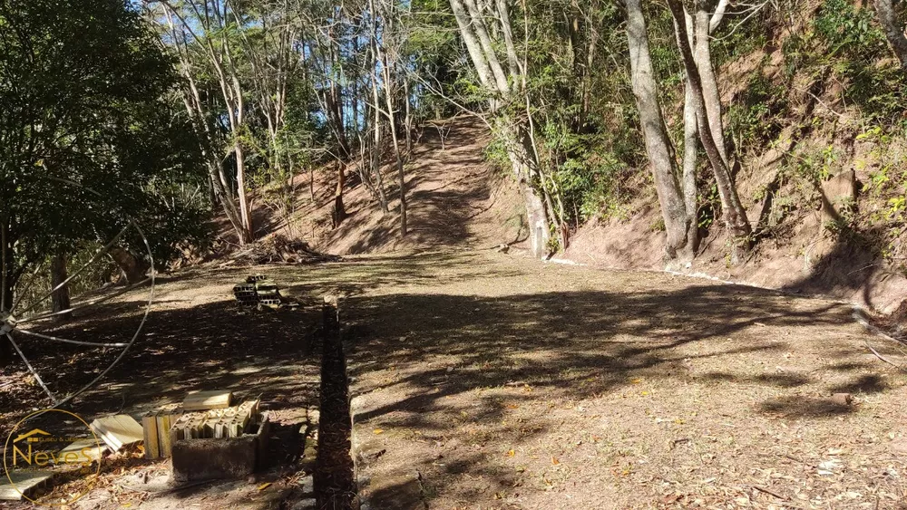 Sítio, 3 quartos, 7470 m² - Foto 29