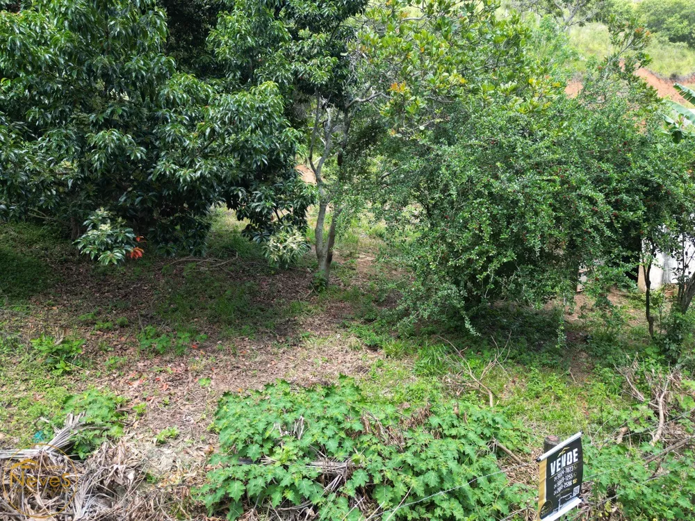 Terreno, 1480 m² - Foto 4