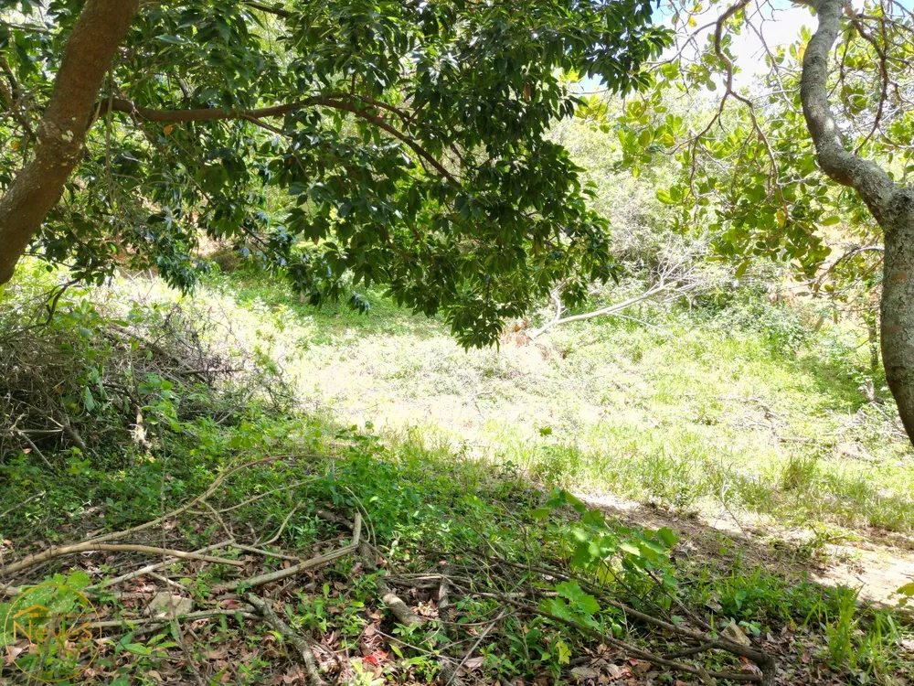 Terreno, 1480 m² - Foto 5