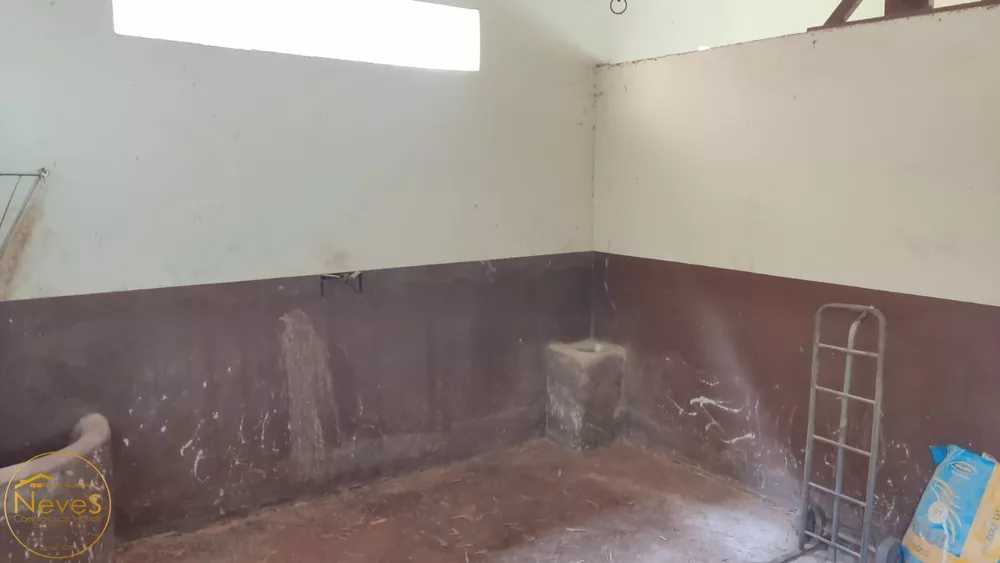 Sítio, 4 quartos, 2046 m² - Foto 11