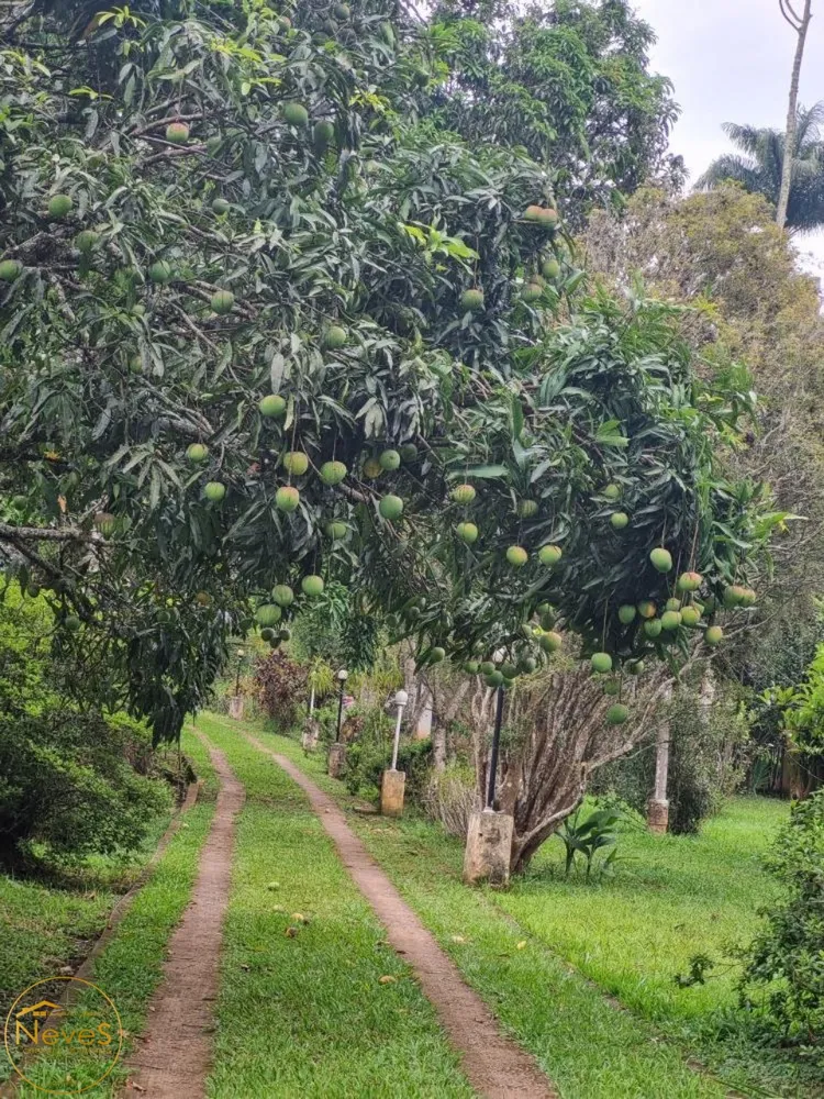 Sítio, 10 quartos, 8 hectares - Foto 46