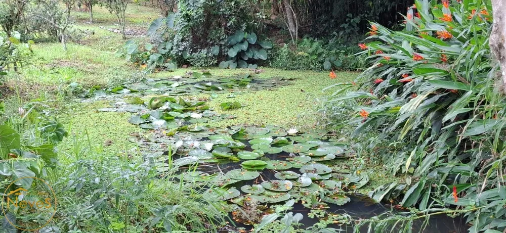 Sítio, 10 quartos, 8 hectares - Foto 41
