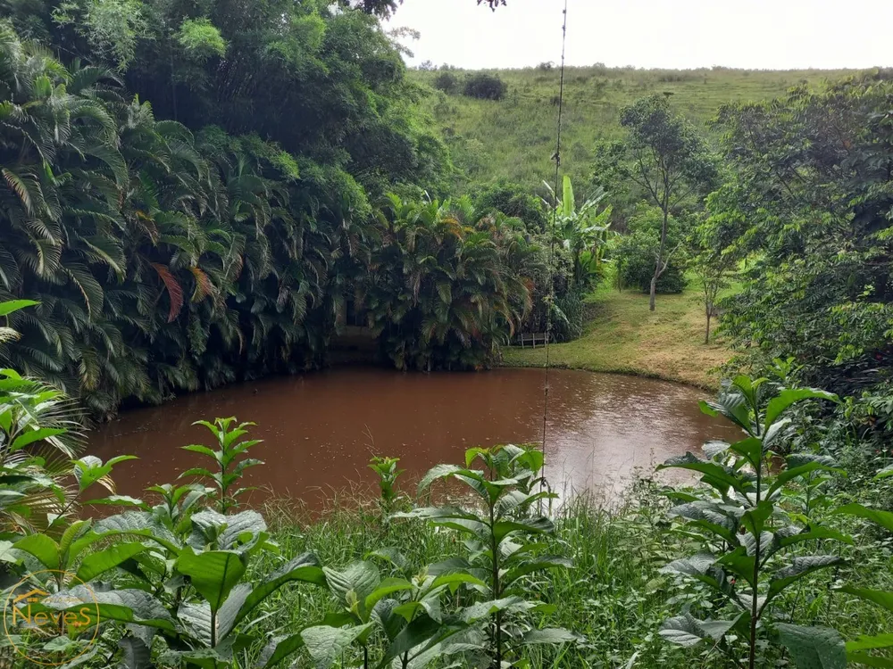 Sítio, 10 quartos, 8 hectares - Foto 43