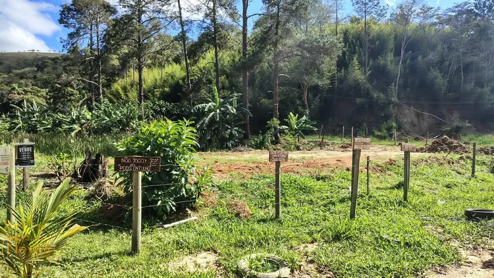 Terreno, 428 m² - Foto 4