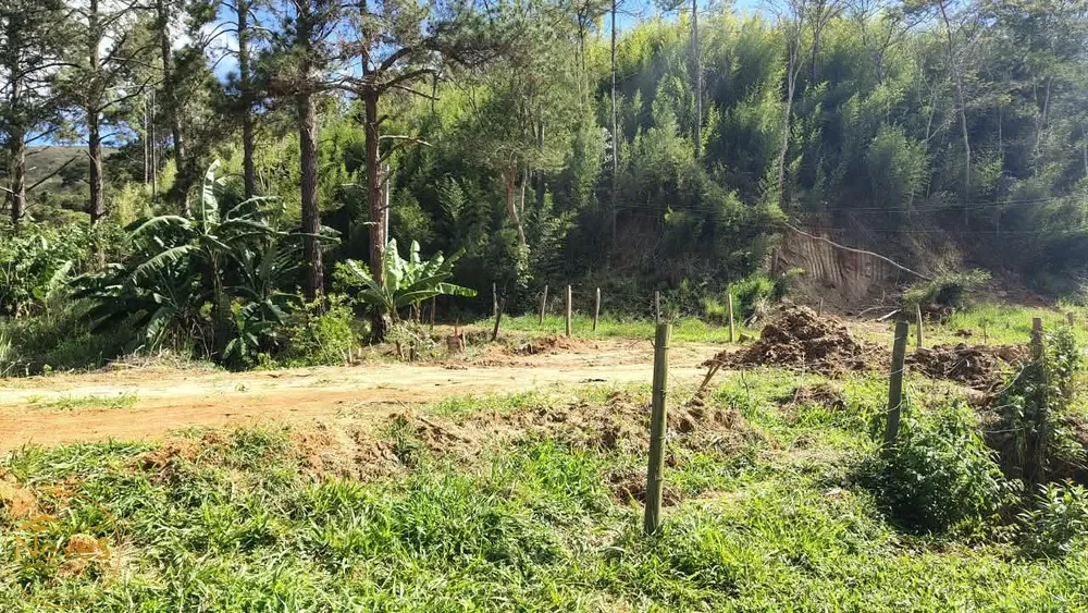 Terreno, 428 m² - Foto 14