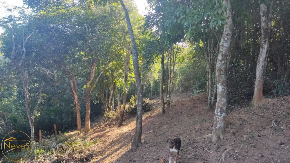 Terreno, 468 m² - Foto 5
