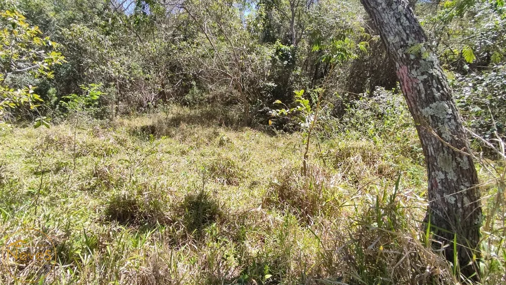 Terreno, 677 m² - Foto 2